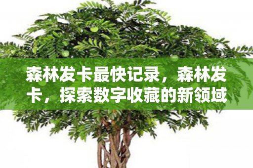 森林发卡最快记录，森林发卡，探索数字收藏的新领域