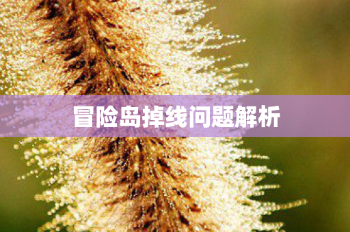 冒险岛掉线问题解析 冒险岛掉线问题解析
