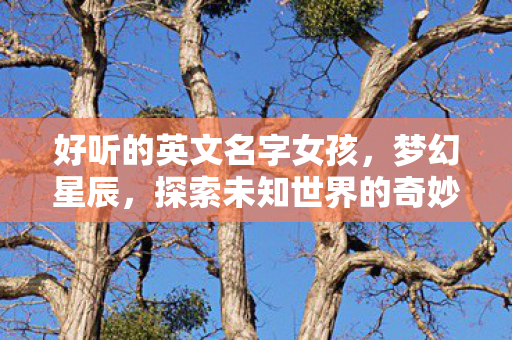 好听的英文名字女孩,梦幻星辰,探索未知世界的奇妙之旅? 好听的英文名字女孩,梦幻星辰,探索未知世界的奇妙之旅?