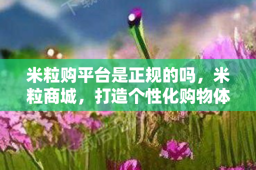 米粒购平台是正规的吗,米粒商城,打造个性化购物体验,引领电商新风尚 米粒购平台是正规的吗,米粒商城,打造个性化购物体验,引领电商新风尚