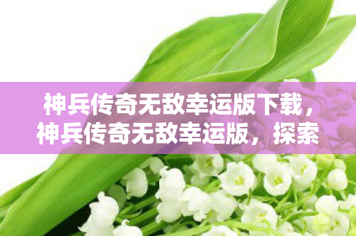 神兵传奇无敌幸运版下载，神兵传奇无敌幸运版，探索无限可能的冒险之旅
