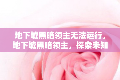 地下城黑暗领主无法运行,地下城黑暗领主,探索未知领域的冒险之旅 地下城黑暗领主无法运行,地下城黑暗领主,探索未知领域的冒险之旅