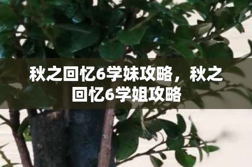 秋之回忆6学妹攻略,秋之回忆6学姐攻略 秋之回忆6学妹攻略,秋之回忆6学姐攻略