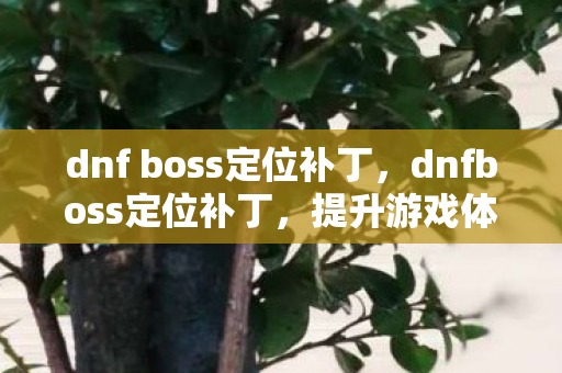dnf boss定位补丁,dnfboss定位补丁,提升游戏体验的必备神器 dnf boss定位补丁,dnfboss定位补丁,提升游戏体验的必备神器