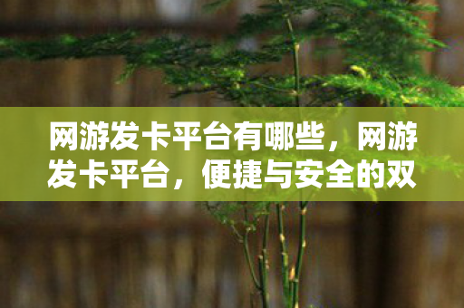 网游发卡平台有哪些,网游发卡平台,便捷与安全的双赢选择 网游发卡平台有哪些,网游发卡平台,便捷与安全的双赢选择