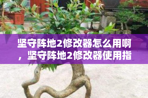 坚守阵地2修改器怎么用啊,坚守阵地2修改器使用指南 坚守阵地2修改器怎么用啊,坚守阵地2修改器使用指南