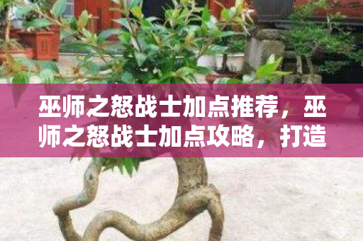 巫师之怒战士加点推荐，巫师之怒战士加点攻略，打造最强战士