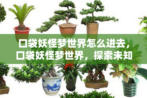 口袋妖怪梦世界怎么进去，口袋妖怪梦世界，探索未知世界的奇妙旅程