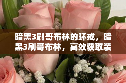 暗黑3刷哥布林的环戒，暗黑3刷哥布林，高效获取装备与经验的策略指南