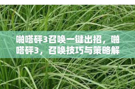 啪嗒砰3召唤一键出招,啪嗒砰3,召唤技巧与策略解析 啪嗒砰3召唤一键出招,啪嗒砰3,召唤技巧与策略解析
