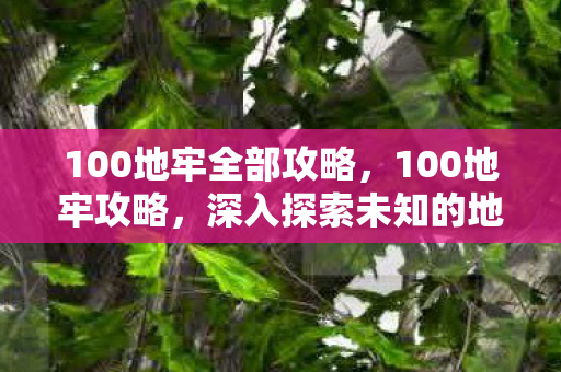 100地牢全部攻略，100地牢攻略，深入探索未知的地牢挑战