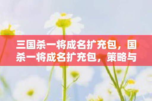 三国杀一将成名扩充包,国杀一将成名扩充包,策略与智慧的碰撞 三国杀一将成名扩充包,国杀一将成名扩充包,策略与智慧的碰撞