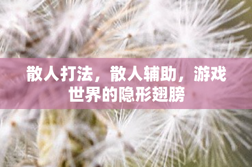 散人打法,散人辅助,游戏世界的隐形翅膀 散人打法,散人辅助,游戏世界的隐形翅膀