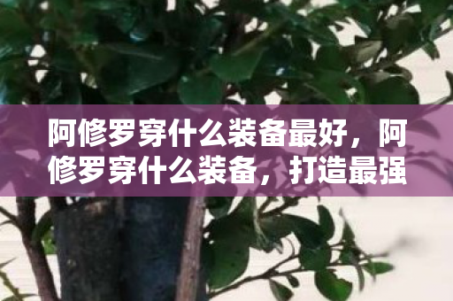 阿修罗穿什么装备最好,阿修罗穿什么装备,打造最强战斗力的装备选择指南 阿修罗穿什么装备最好,阿修罗穿什么装备,打造最强战斗力的装备选择指南