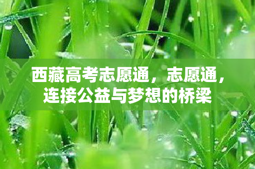 西藏高考志愿通,志愿通,连接公益与梦想的桥梁 西藏高考志愿通,志愿通,连接公益与梦想的桥梁