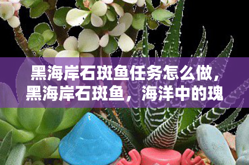 黑海岸石斑鱼任务怎么做,黑海岸石斑鱼,海洋中的瑰宝与保护挑战 黑海岸石斑鱼任务怎么做,黑海岸石斑鱼,海洋中的瑰宝与保护挑战
