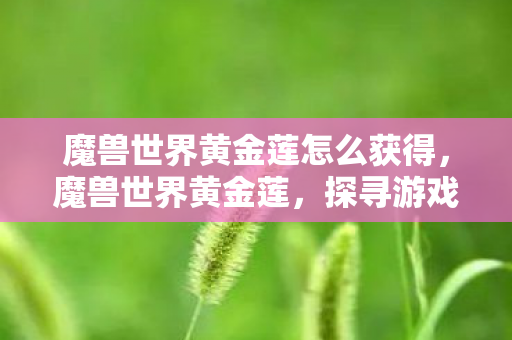 魔兽世界黄金莲怎么获得,魔兽世界黄金莲,探寻游戏中的神秘宝藏 魔兽世界黄金莲怎么获得,魔兽世界黄金莲,探寻游戏中的神秘宝藏