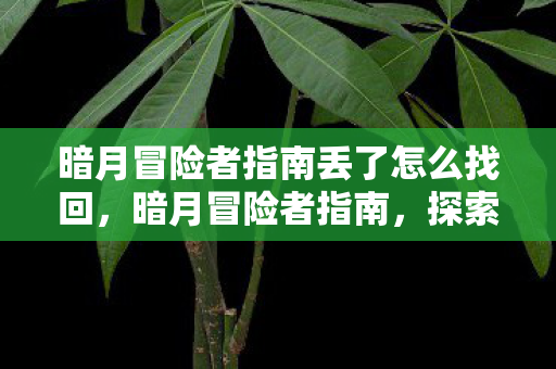 暗月冒险者指南丢了怎么找回，暗月冒险者指南，探索未知世界的生存与冒险