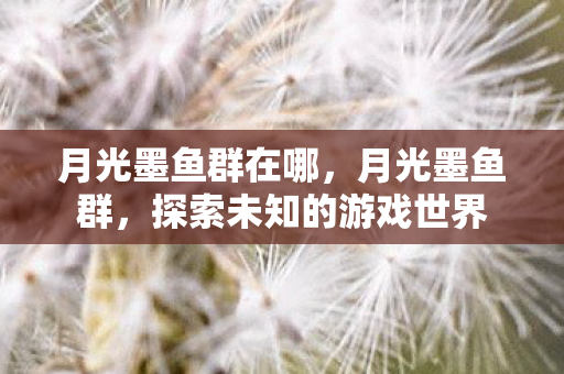 月光墨鱼群在哪,月光墨鱼群,探索未知的游戏世界 月光墨鱼群在哪,月光墨鱼群,探索未知的游戏世界