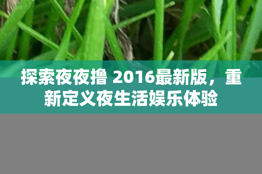 探索夜夜撸 2016最新版,重新定义夜生活娱乐体验 探索夜夜撸 2016最新版,重新定义夜生活娱乐体验