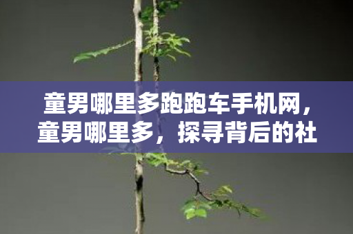 童男哪里多跑跑车手机网,童男哪里多,探寻背后的社会现象与家庭影响 童男哪里多跑跑车手机网,童男哪里多,探寻背后的社会现象与家庭影响