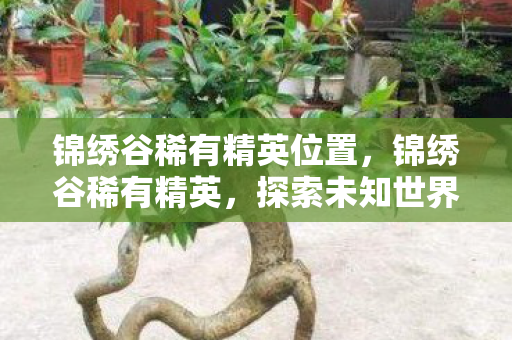锦绣谷稀有精英位置,锦绣谷稀有精英,探索未知世界的奇幻之旅 锦绣谷稀有精英位置,锦绣谷稀有精英,探索未知世界的奇幻之旅