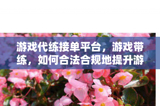 游戏代练接单平台,游戏带练,如何合法合规地提升游戏体验 游戏代练接单平台,游戏带练,如何合法合规地提升游戏体验