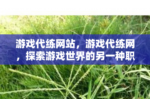 游戏代练网站,游戏代练网,探索游戏世界的另一种职业 游戏代练网站,游戏代练网,探索游戏世界的另一种职业