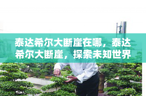 泰达希尔大断崖在哪,泰达希尔大断崖,探索未知世界的壮丽奇观 泰达希尔大断崖在哪,泰达希尔大断崖,探索未知世界的壮丽奇观