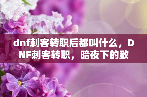dnf刺客转职后都叫什么，DNF刺客转职，暗夜下的致命舞者