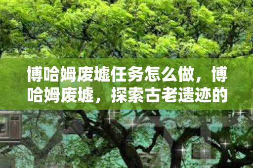 博哈姆废墟任务怎么做，博哈姆废墟，探索古老遗迹的奇幻之旅