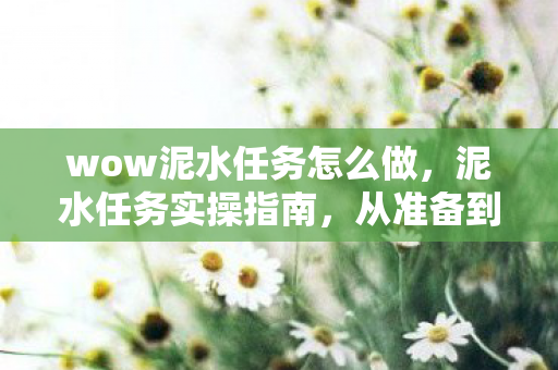 wow泥水任务怎么做，泥水任务实操指南，从准备到完成的全面解析