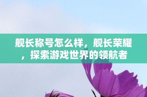 舰长称号怎么样，舰长荣耀，探索游戏世界的领航者
