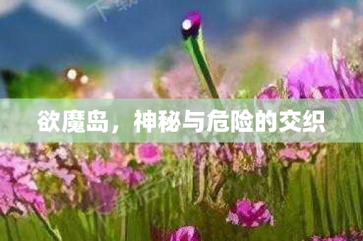 欲魔岛,神秘与危险的交织 欲魔岛,神秘与危险的交织