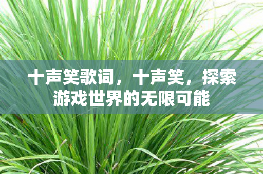 十声笑歌词,十声笑,探索游戏世界的无限可能 十声笑歌词,十声笑,探索游戏世界的无限可能
