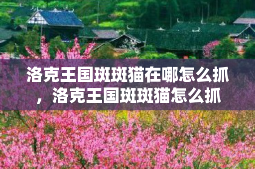洛克王国斑斑猫在哪怎么抓,洛克王国斑斑猫怎么抓 洛克王国斑斑猫在哪怎么抓,洛克王国斑斑猫怎么抓