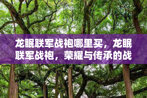 龙眠联军战袍哪里买,龙眠联军战袍,荣耀与传承的战甲 龙眠联军战袍哪里买,龙眠联军战袍,荣耀与传承的战甲