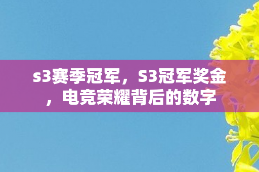 s3赛季冠军,S3冠军奖金,电竞荣耀背后的数字 s3赛季冠军,S3冠军奖金,电竞荣耀背后的数字