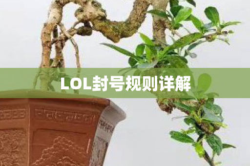 LOL封号规则详解 LOL封号规则详解
