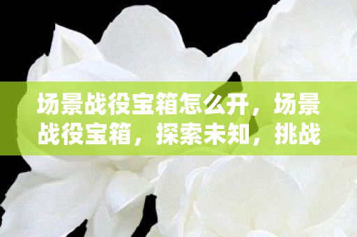 场景战役宝箱怎么开，场景战役宝箱，探索未知，挑战极限