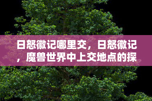 日怒徽记哪里交，日怒徽记，魔兽世界中上交地点的探索