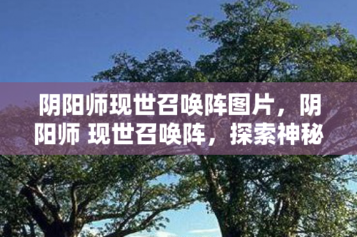 阴阳师现世召唤阵图片，阴阳师 现世召唤阵，探索神秘召唤的奥秘