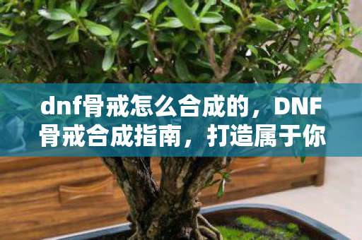 dnf骨戒怎么合成的,DNF骨戒合成指南,打造属于你的传奇装备 dnf骨戒怎么合成的,DNF骨戒合成指南,打造属于你的传奇装备