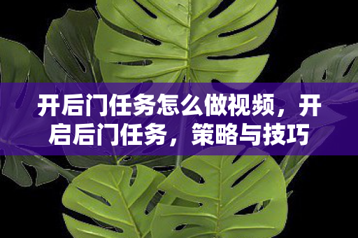 开后门任务怎么做视频，开启后门任务，策略与技巧