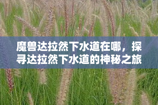魔兽达拉然下水道在哪,探寻达拉然下水道的神秘之旅 魔兽达拉然下水道在哪,探寻达拉然下水道的神秘之旅