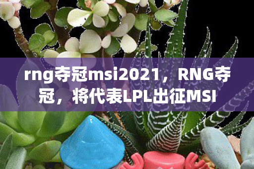 rng夺冠msi2021,RNG夺冠,将代表LPL出征MSI rng夺冠msi2021,RNG夺冠,将代表LPL出征MSI