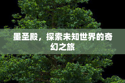 墨圣殿,探索未知世界的奇幻之旅 墨圣殿,探索未知世界的奇幻之旅