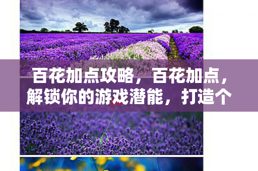 百花加点攻略,百花加点,解锁你的游戏潜能,打造个性化角色 百花加点攻略,百花加点,解锁你的游戏潜能,打造个性化角色