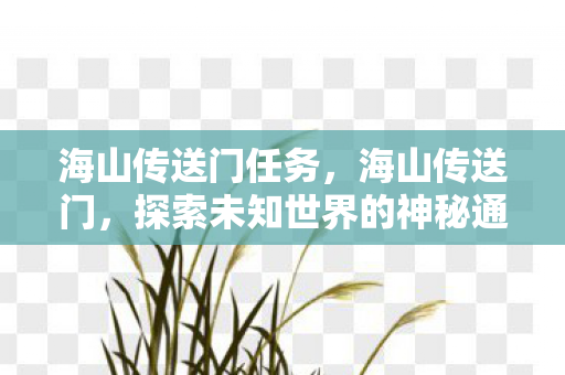 海山传送门任务,海山传送门,探索未知世界的神秘通道 海山传送门任务,海山传送门,探索未知世界的神秘通道