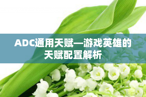 ADC通用天赋—游戏英雄的天赋配置解析 ADC通用天赋—游戏英雄的天赋配置解析